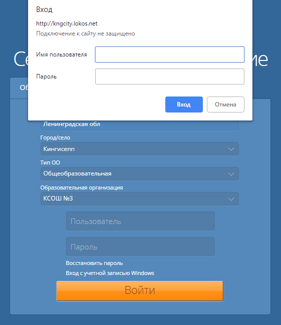сетевой город кингисепп оюразование
